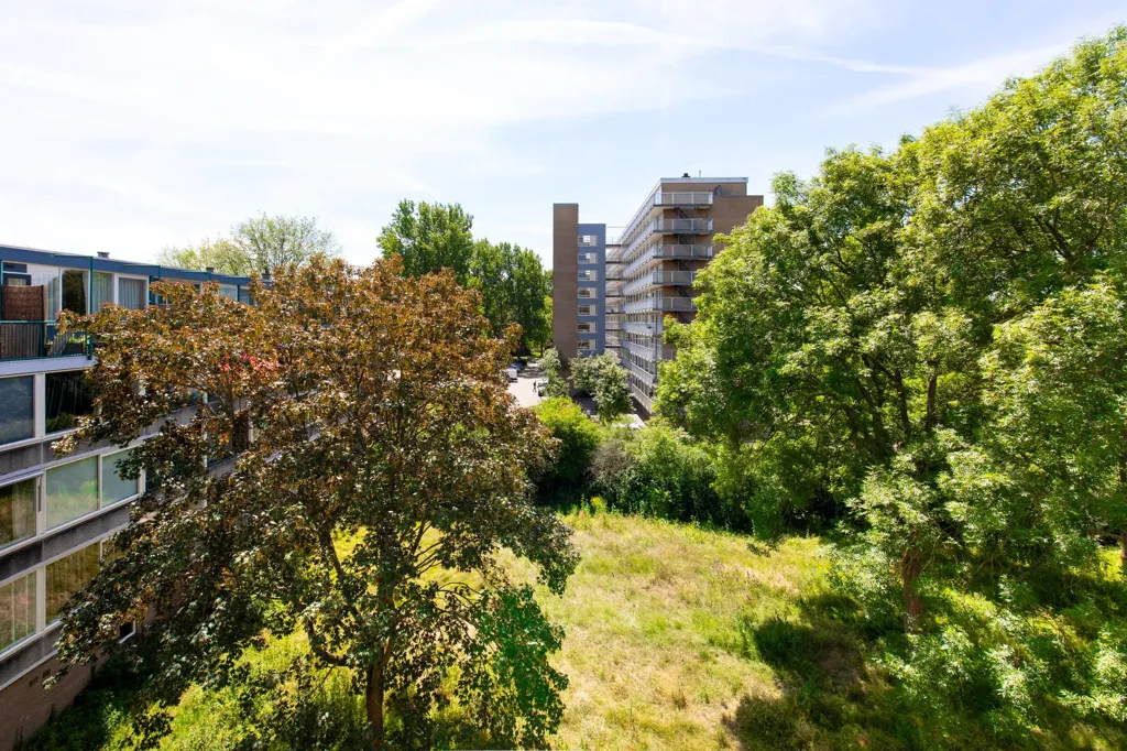 Jardin - 2-Bedroom Flat with South-Facing Balcony in Haarlem