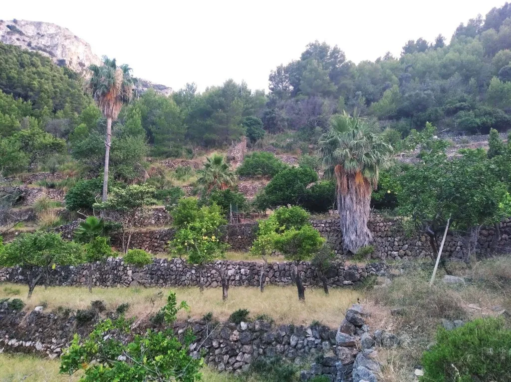 Jardin - Mallorquin House with Fruit Trees in Deyá