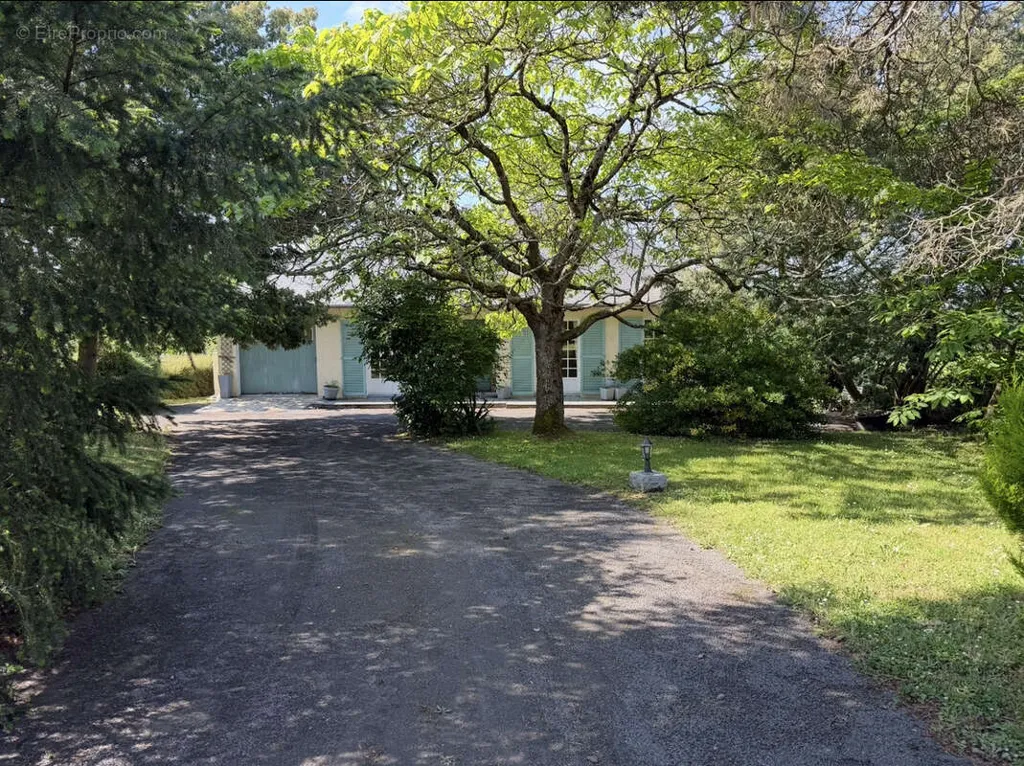 5-room house in Segre