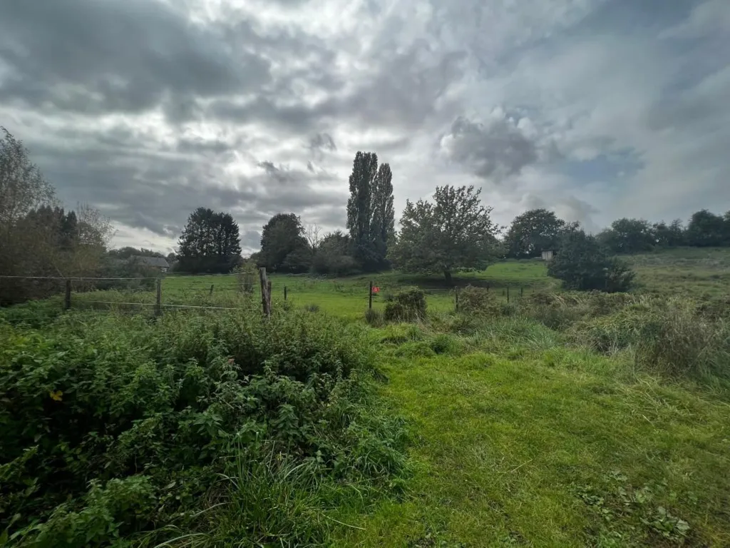 Garden - 2ha Natural Retreat in Rural Setting