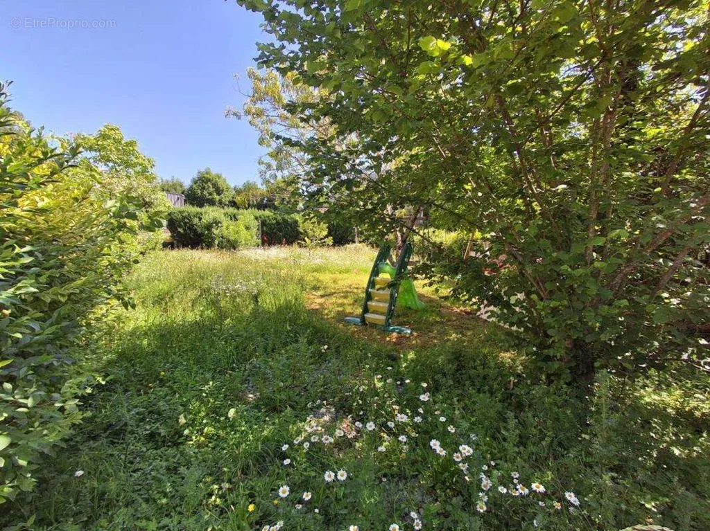 Aed - 6-Bedroom House in Saint-Paul
