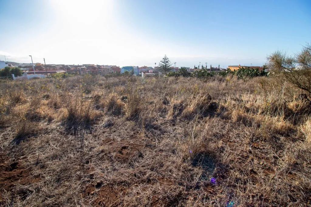 Garden - Building Land with Chalet Potential in El Rosario