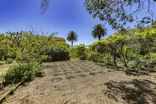 Aed - Villa with Pool in Saint-Tropez