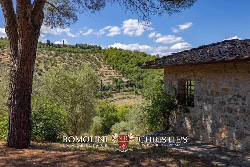 Välivaade - Rustic Farmhouse with Panoramic Views in Chianti