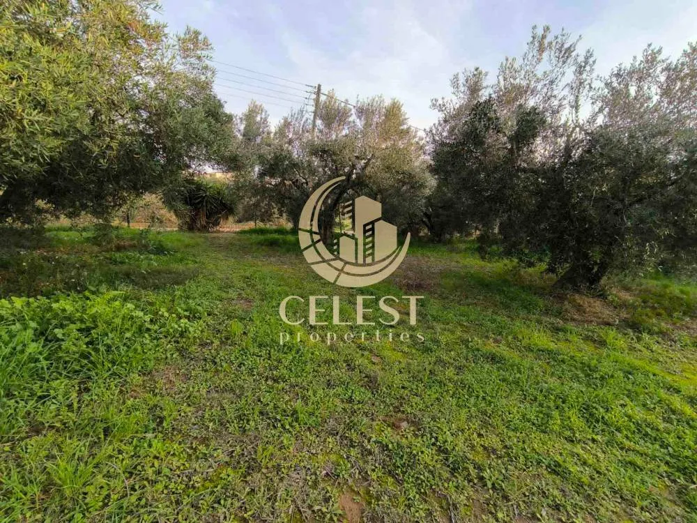 Giardino - Corner Plot with View in Polygyros