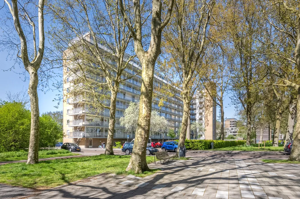 Jardin - Corner Apartment with Green Views in Haarlem