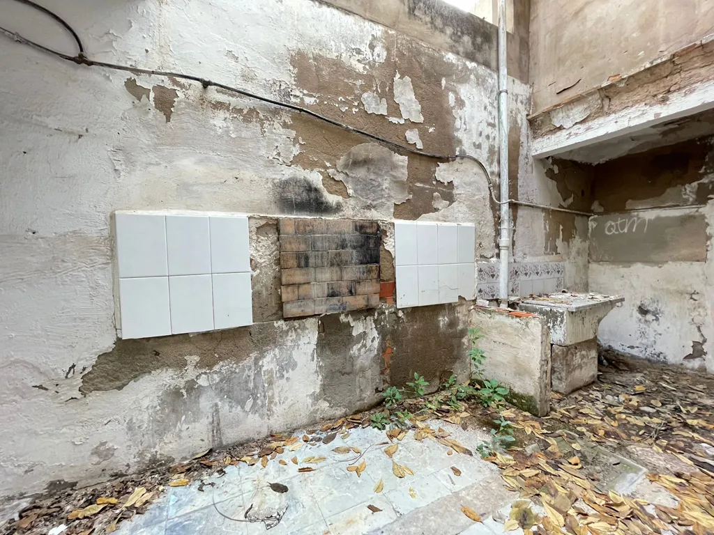 Toad - 1-Bedroom House for Renovation in Elda