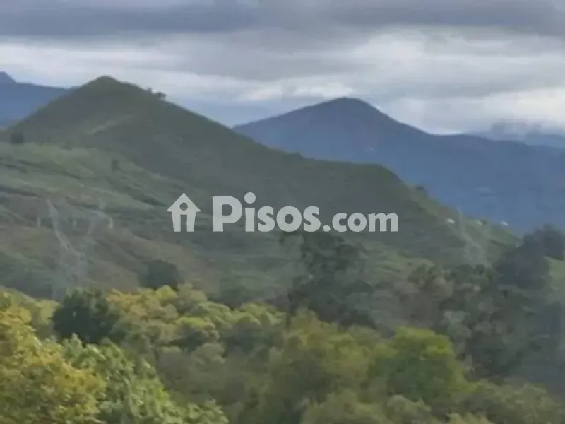 Rustic Property with Potential for Development in Onís