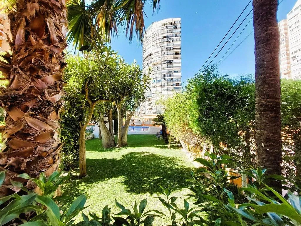 Jardin - Apartment with Pool and Terrace in Benidorm