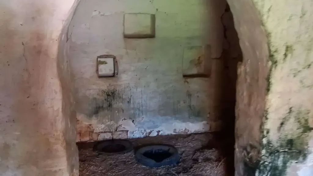 cellar