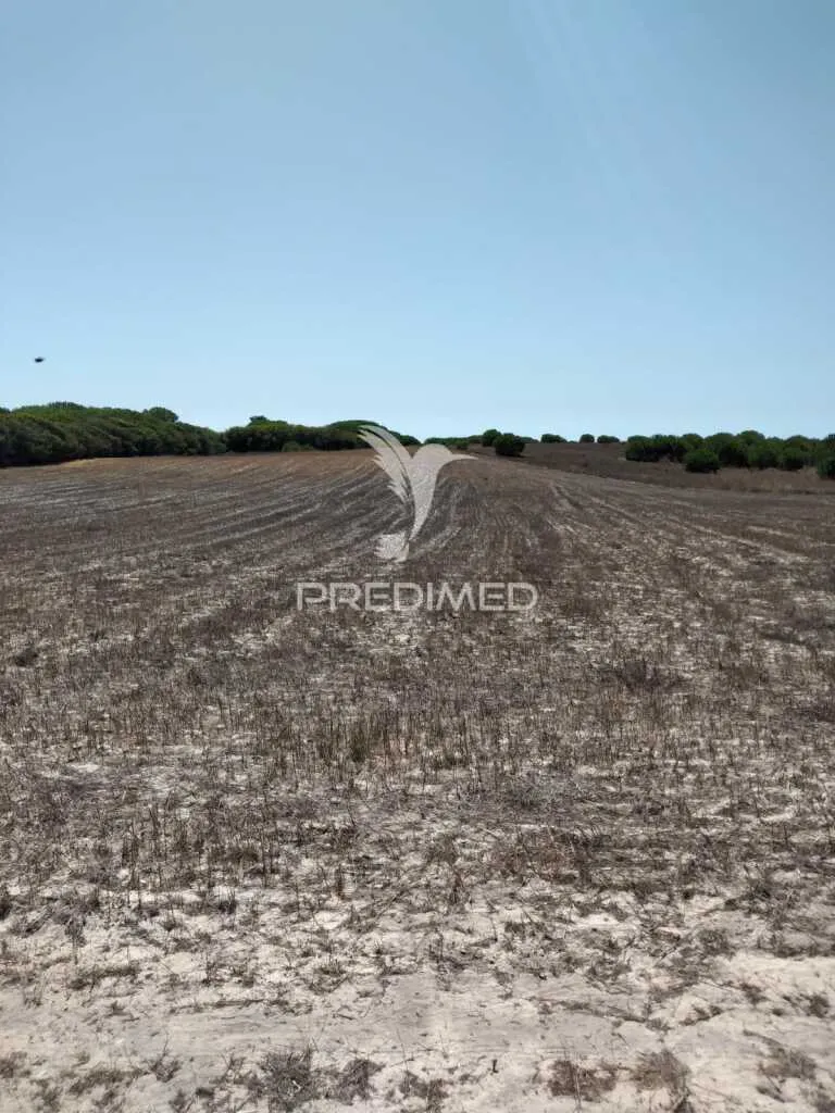 Rustic Plot with Sea Access in Porto Côvo