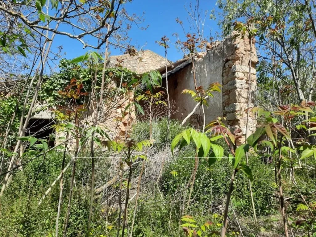 Extérieur - 18th Century Manor for Restoration in Binissalem