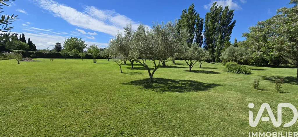 Jardin - Mas Rénové avec Piscine Potentielle à Sarrians