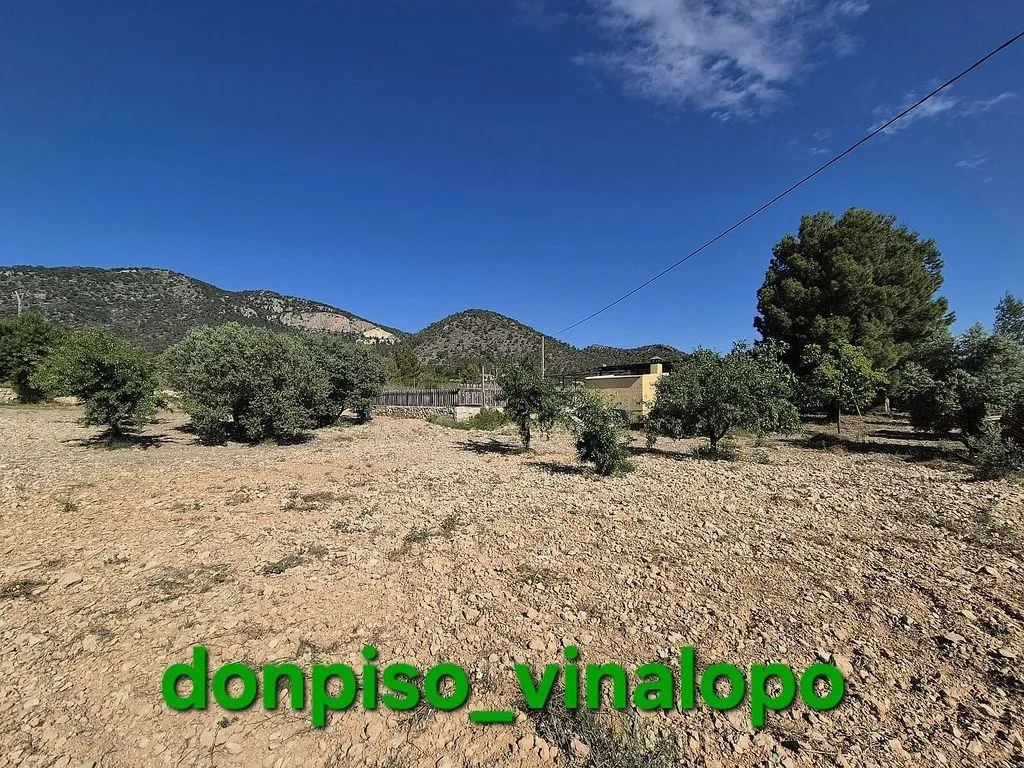 Jardin - Rural House with Pool in Monóvar