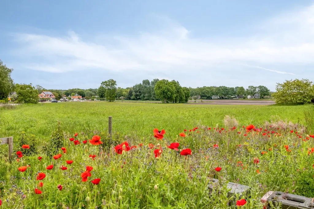 Aed - Spacious Semi-detached House with Deep Garden in Halsteren