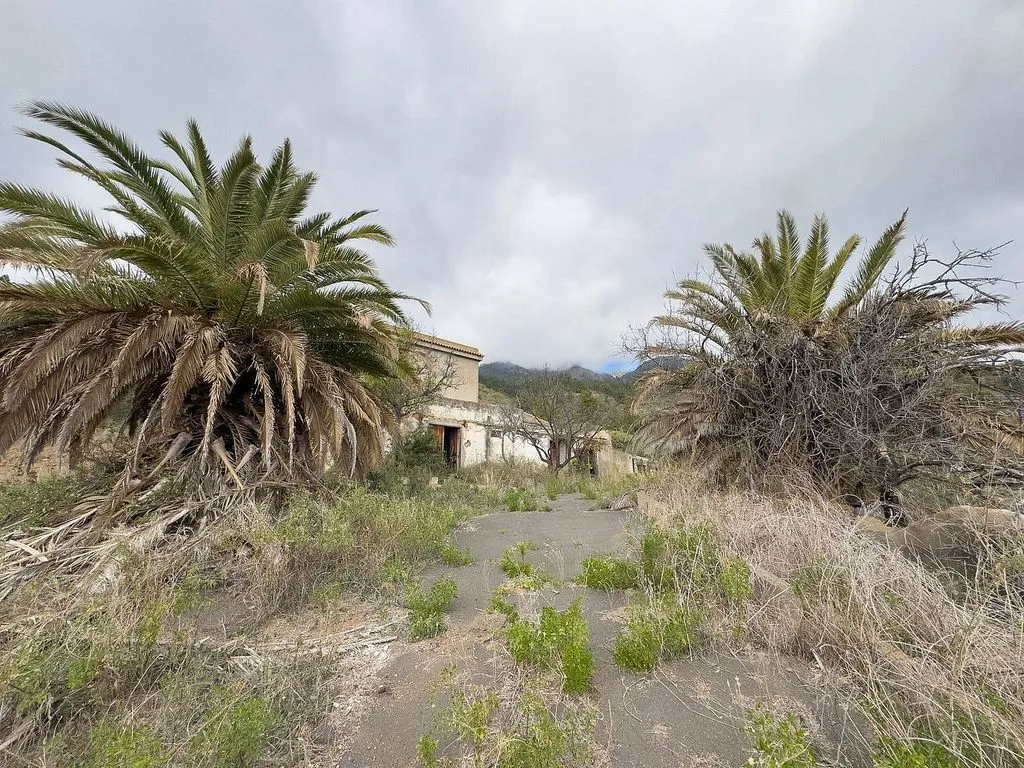 Aed - Rustic Property with Restoration Potential in Arafo