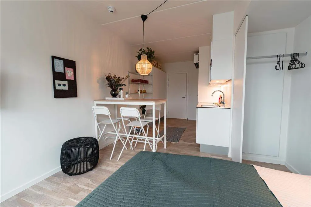 Magamistoad - Studio Flat with Balcony in Aarhus N