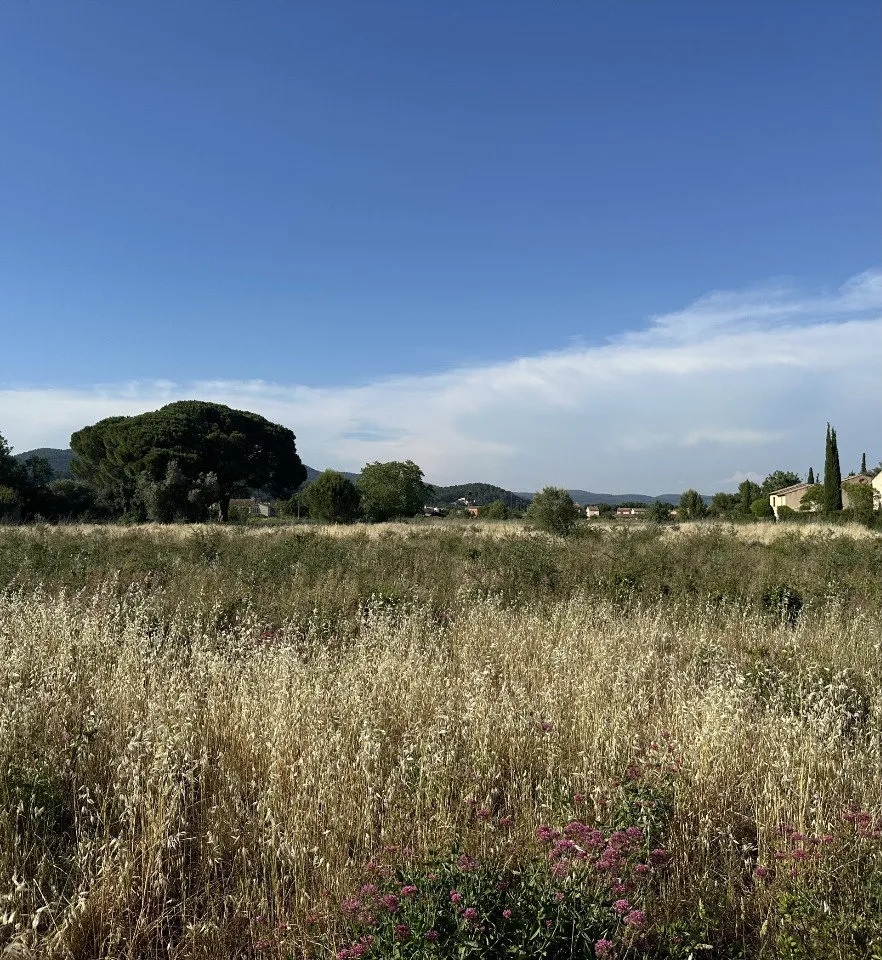 Jardin - Maison à Construire avec Jardin à Cuers