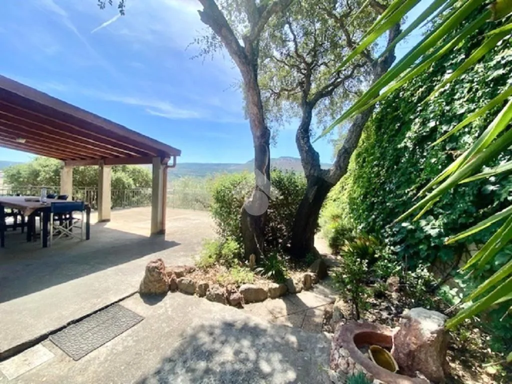 Terrazza - Rustico with Olive Grove in Alghero