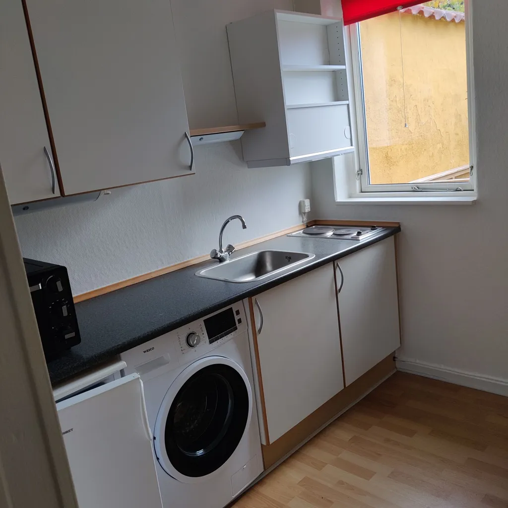 Cuisine - One-Bedroom Apartment with Kitchen in Central Location