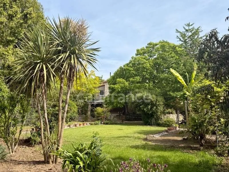 Jardin - Propriété de Caractère avec Parc à Limoux