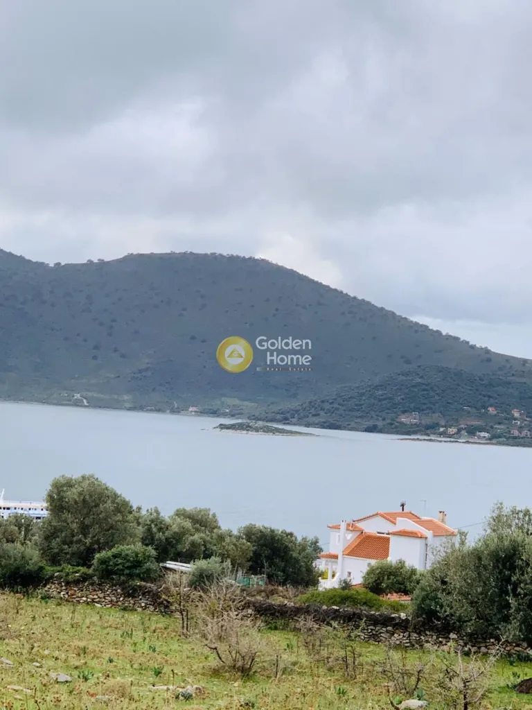 Aed - Panoramic Plot with Olive Trees in Almyropotamos