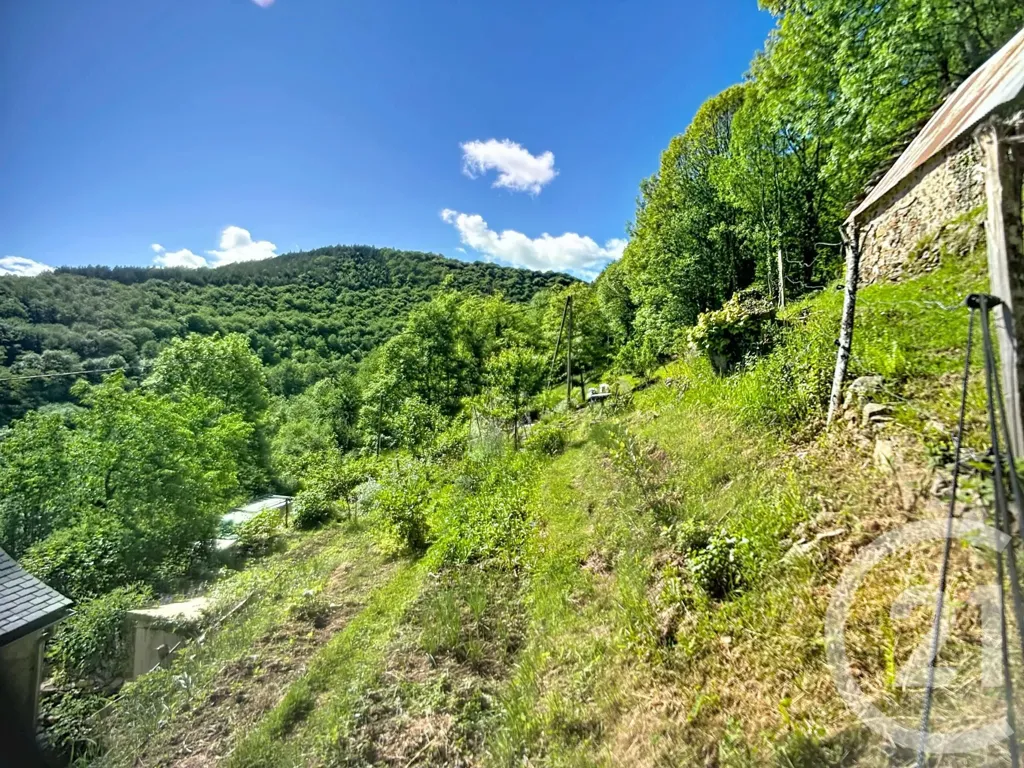 Jardin - Maison en Pierre avec Terrain à Aleu