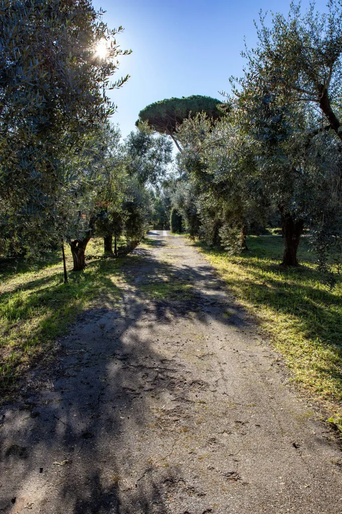 Extérieur - Rustic Casale with Tennis Courts near Lucca