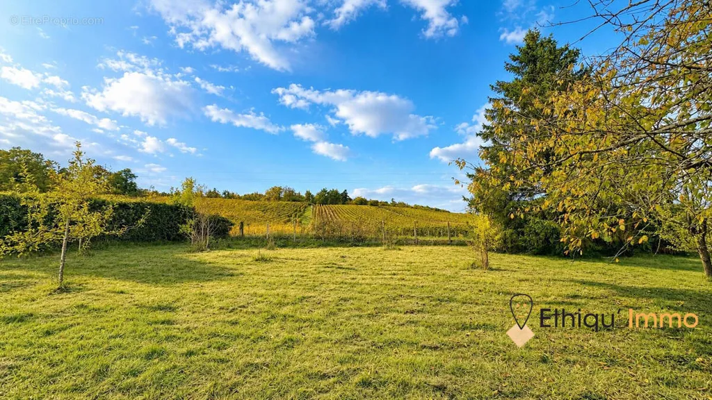 Aed - Buildable Plot with Vineyard View in Arsonval