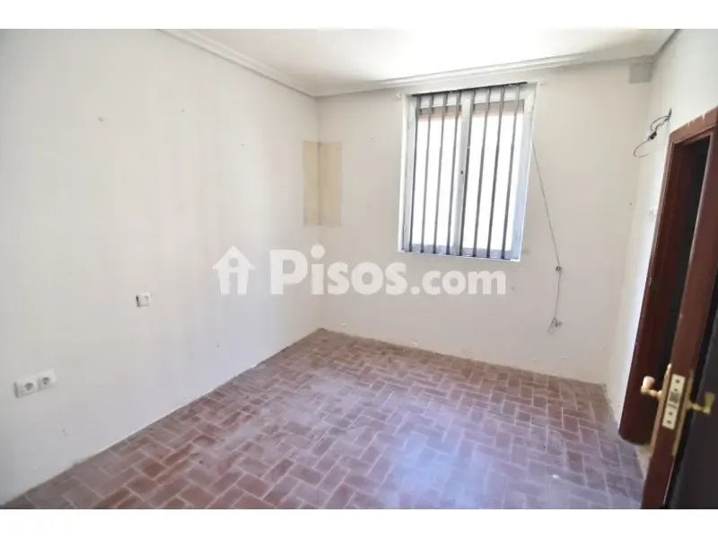 Toad - Flat with Terrace in Calle Loralde Kalea
