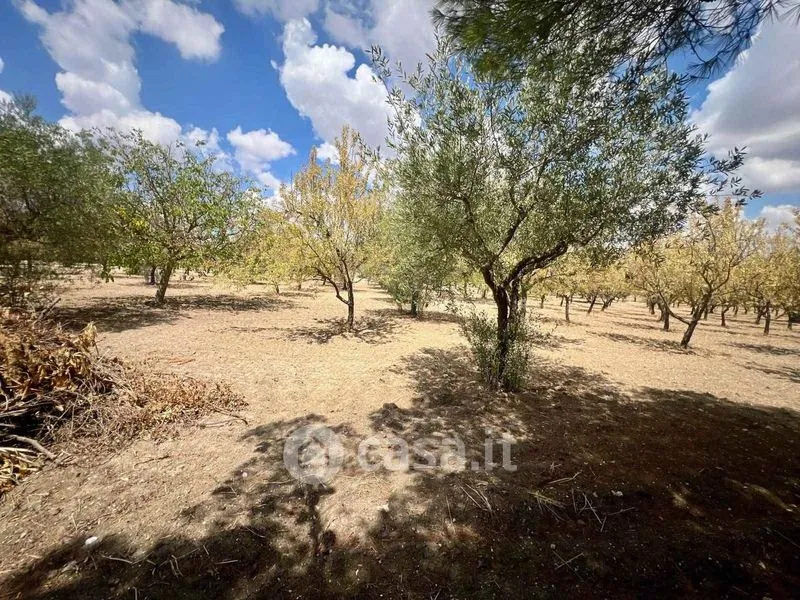 Jardin - Villa with Garden in San Cataldo