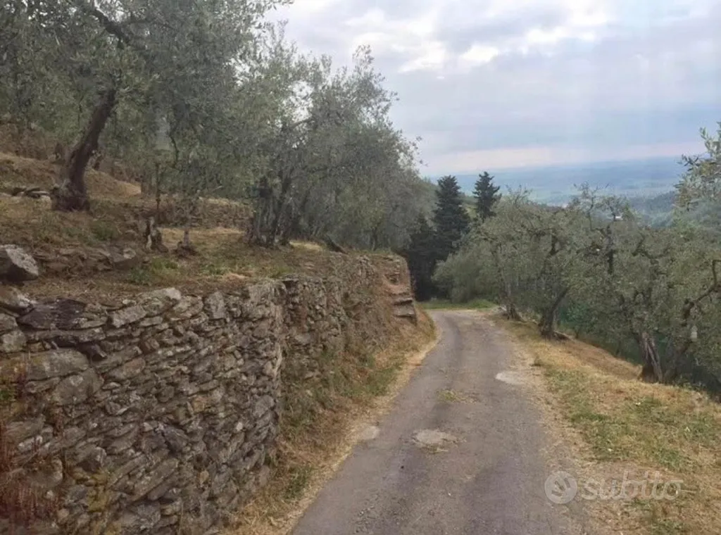 Jardin - Olive Grove with Panoramic View in Italy