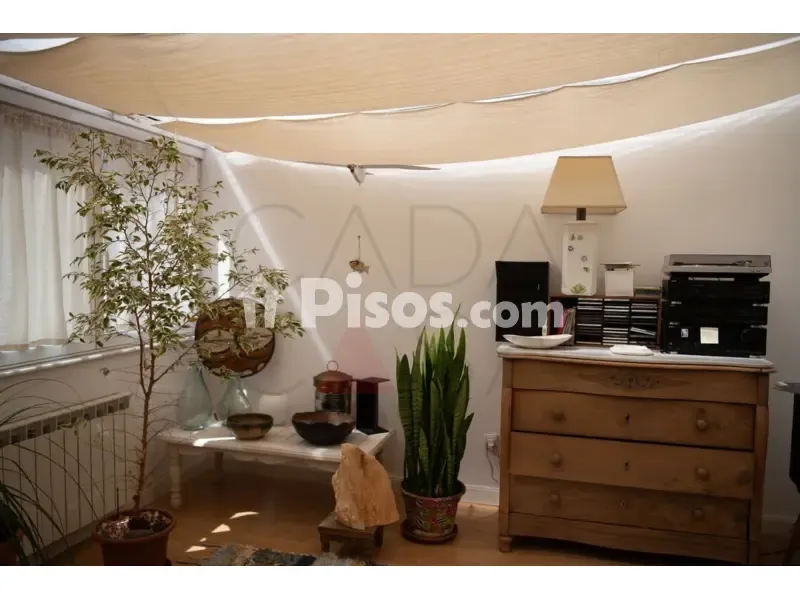 Séjour - Apartment with Architectural Charm in Puerto Chico, Santander