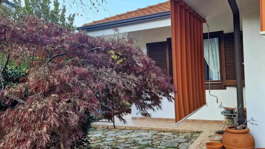 terrace_patio