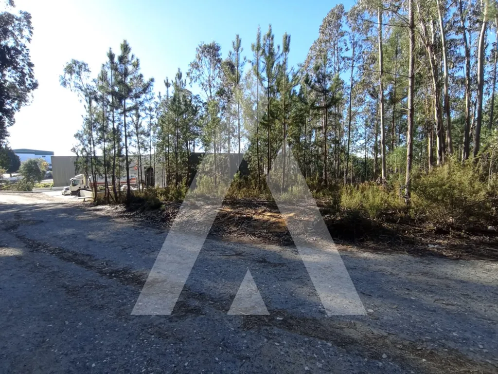 Aed - Industrial Plot with Strategic Access in Zicofa