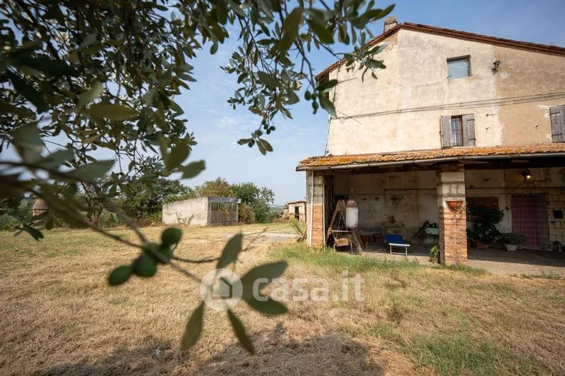 Välivaade - Rustic Casale with Olive Grove in Occimiano