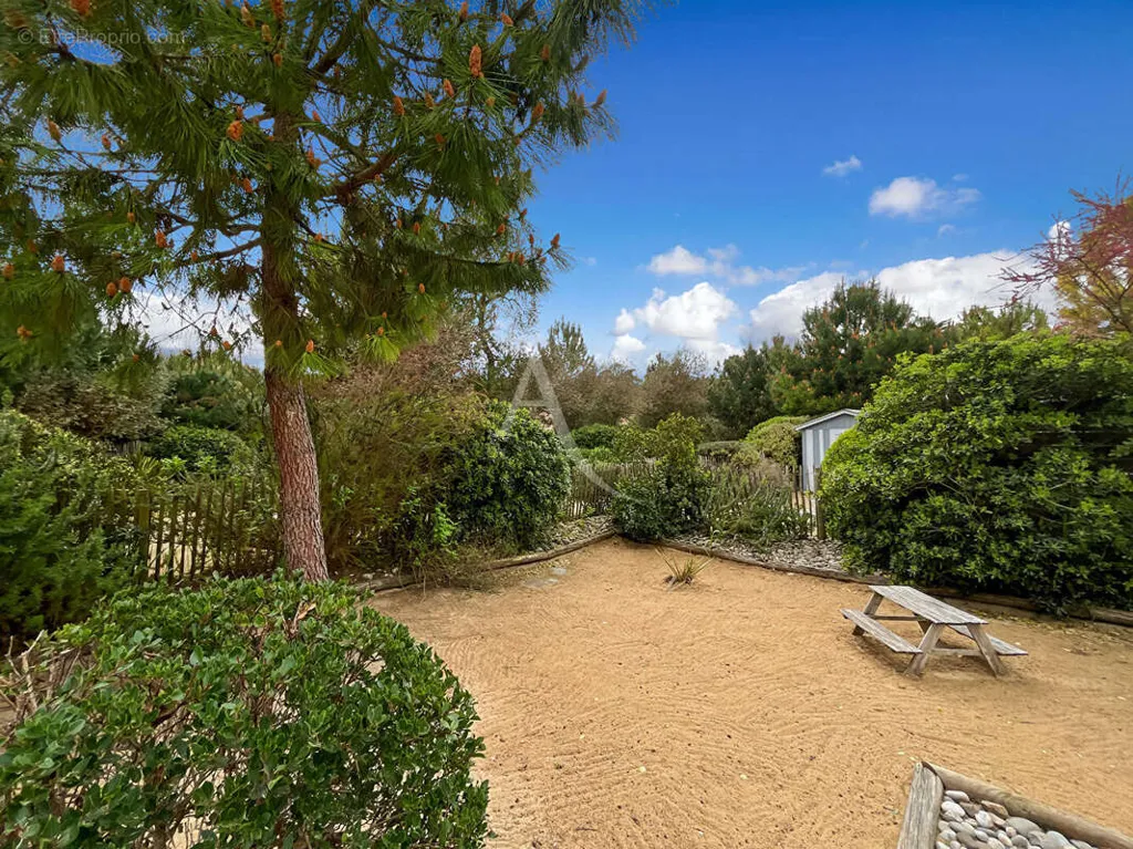 Aed - Renovated House with Spa near Forest and Beach
