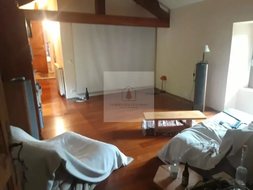 Séjour - Mas Cévenol avec Piscine et Vue Dégagée