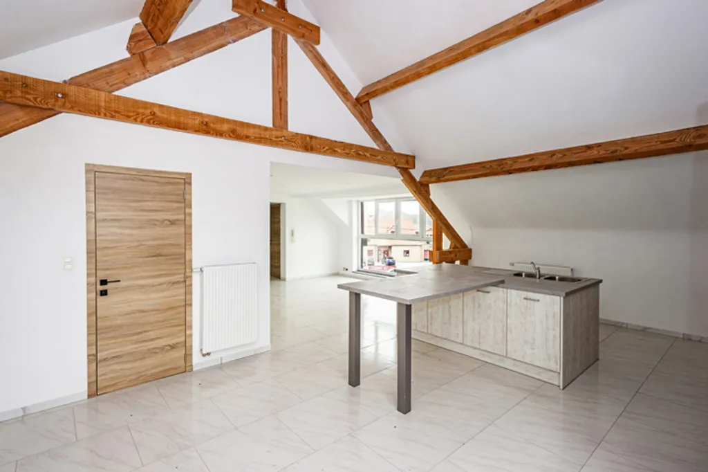Toad - Penthouse with Terrace in Dour