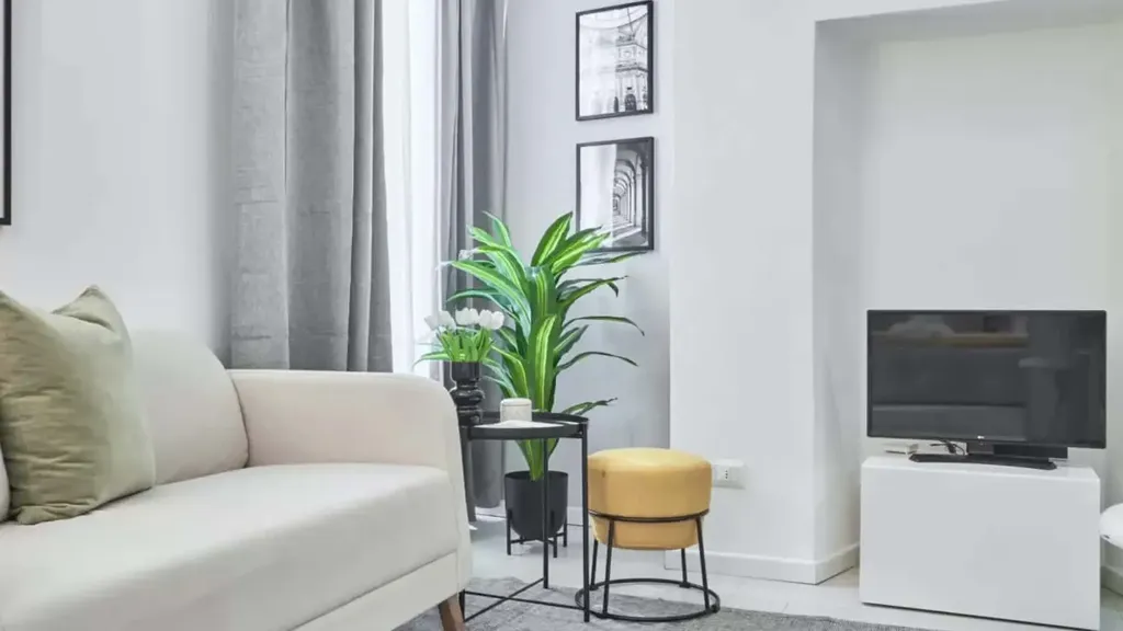living_room