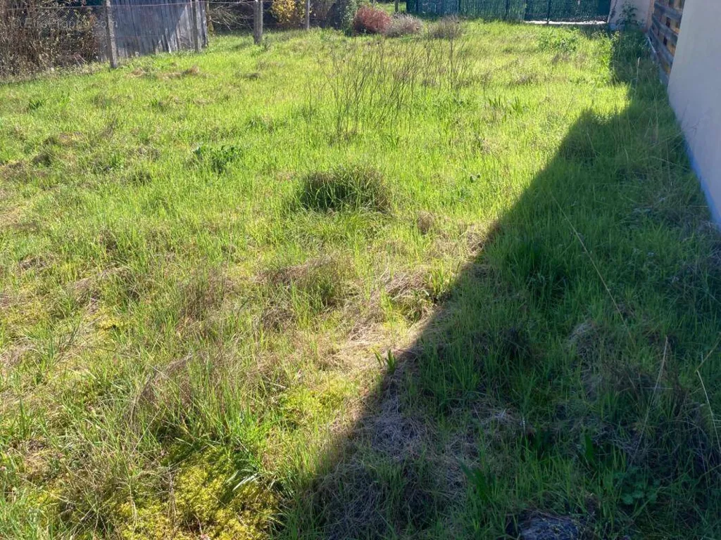 Terrain à Biscarrosse