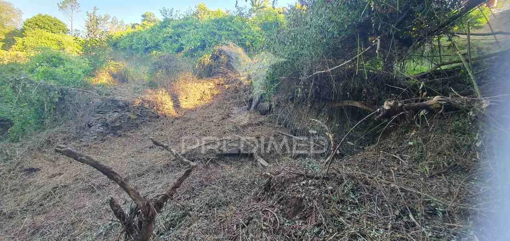 Aed - Urban Plot with River View in Lever