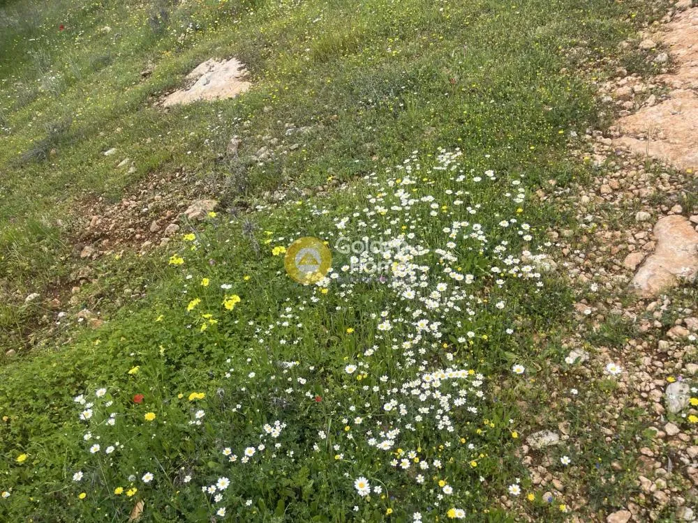Land in GR