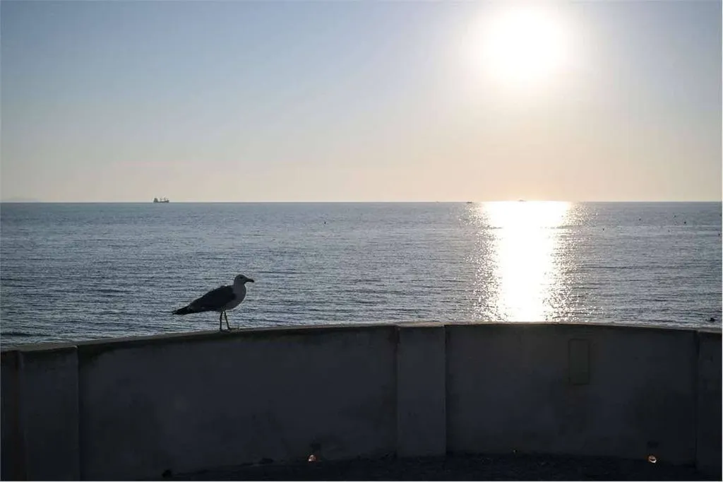 Luxury Flat with Sea View in Leghorn