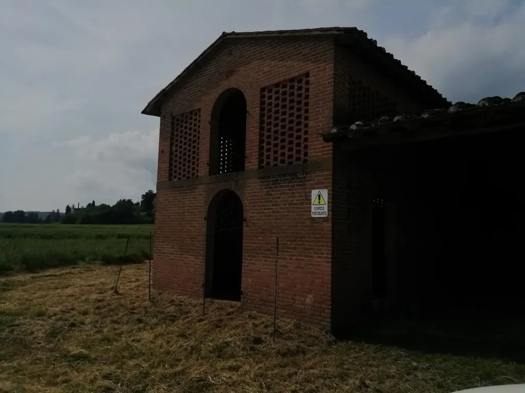 Extérieur - Rustic Farmhouse with Loggia in Montaione