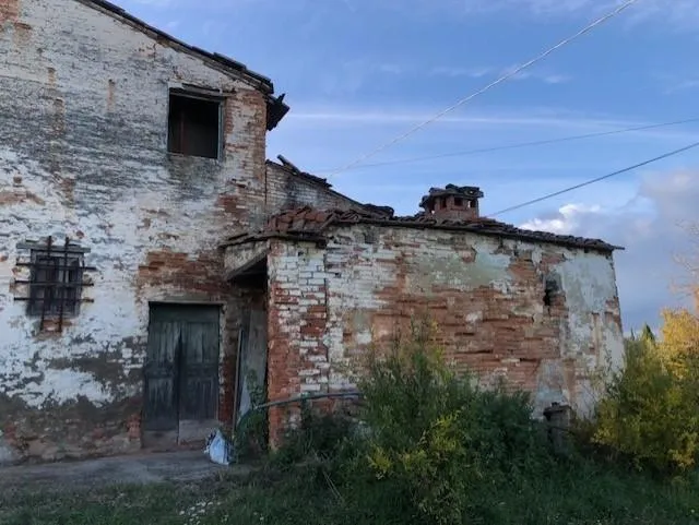 Extérieur - Rustic Casale with Olive Trees near Fucecchio