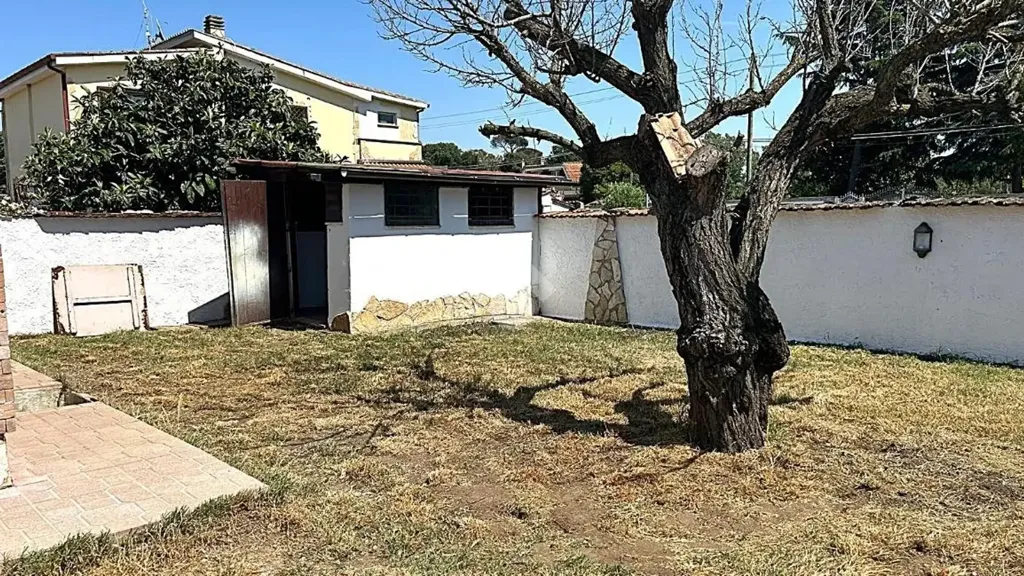 Garden - Bifamily Home with Private Garden in Ardea