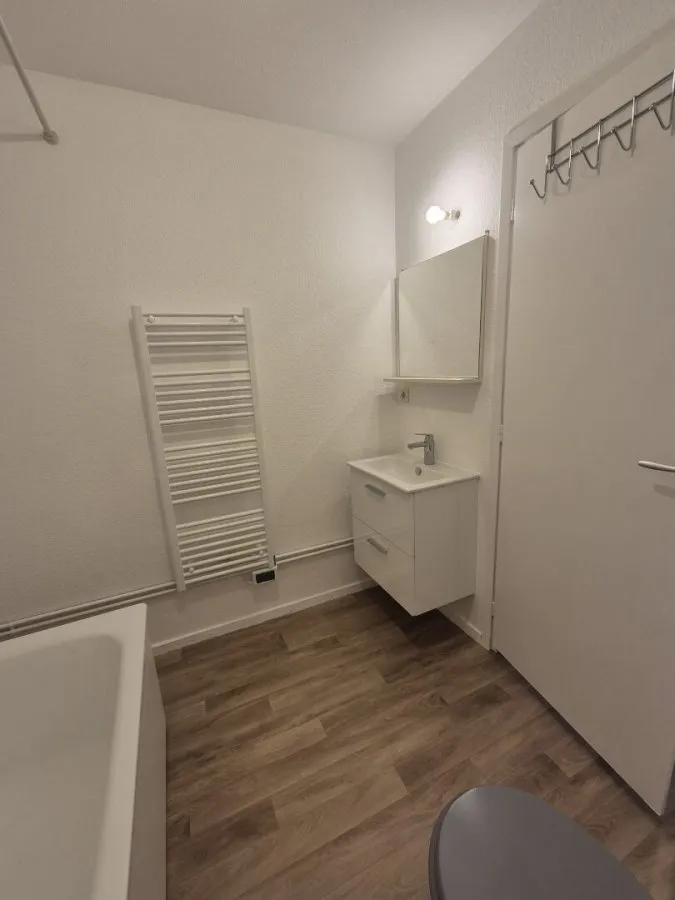 Vannitoad - Bright 1-Bedroom Apartment in Metz Centre