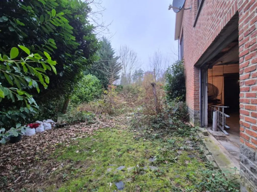 garden