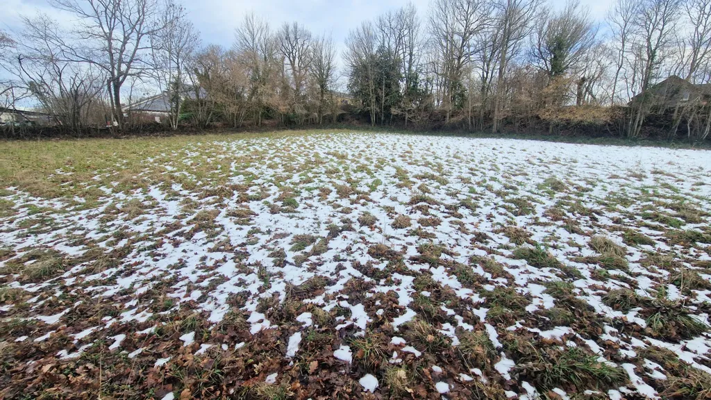 Jardin - Terrain Constructible au Calme à Chapdes-Beaufort